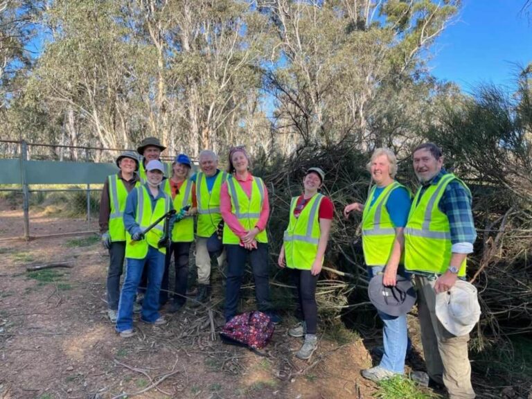 Messenger_creation_8FA2807E-6C9B-4B9C-939C-84DB262826CC